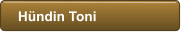 H�ndin Toni